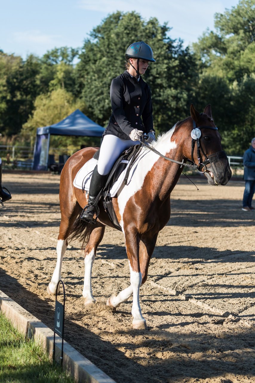 Bild 82 - Pony Akademie Turnier